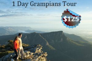 Grampians Tour Specialist