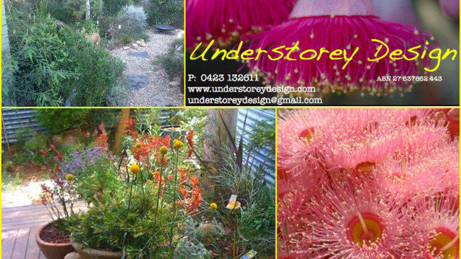 Understorey Design