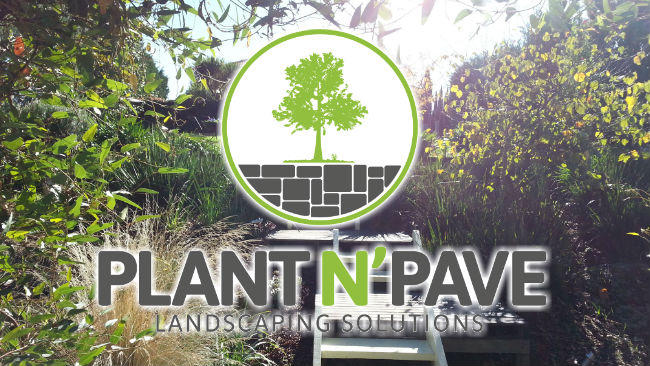 Plant N' Pave