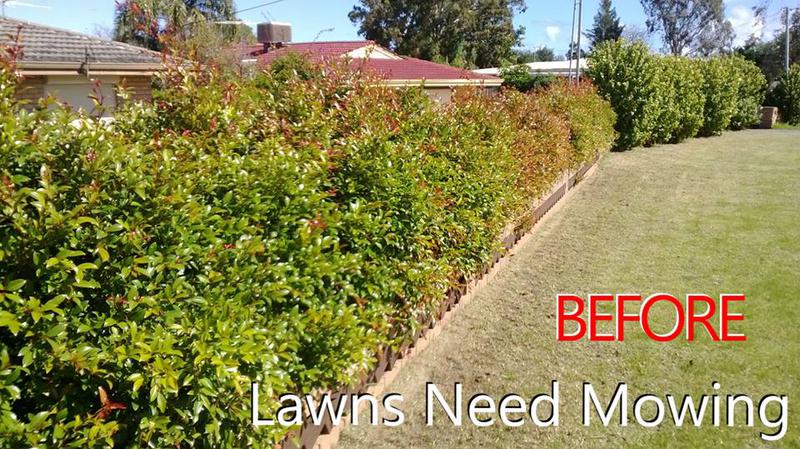 Lawns Need Mowing