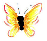 Readings and Reiki with Toni-Anne