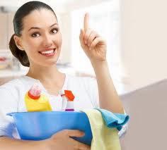 Pro Cleaners Sydney logo