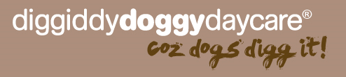 Diggiddy Doggy Daycare logo