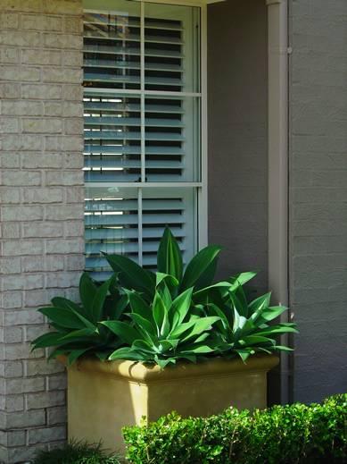 E-Shutters