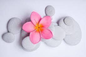 The WellBeing Practice