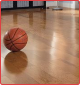 Colorflor