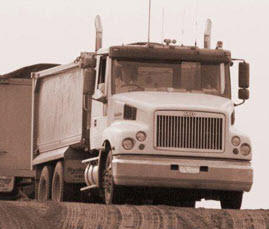 Big Wheels Truck Alignment: Molendinar