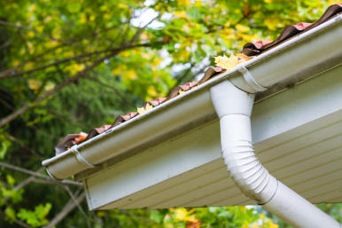 The Window and House Cleaning Specialist