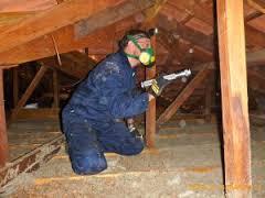 Coastal Property Inspections