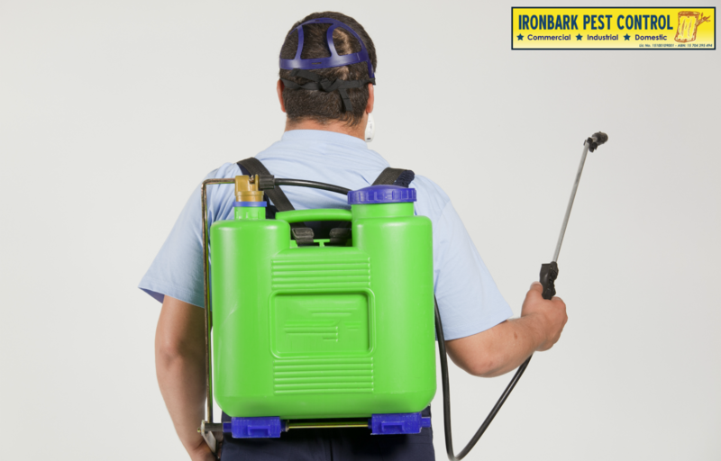 Ironbark Pest Control