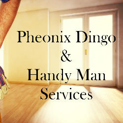 Pheonix Dingo & Handy Man Services logo