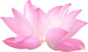 Massage by Shez logo