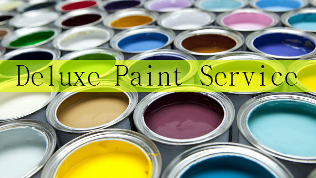 Deluxe Paint Service