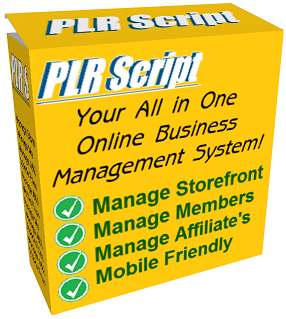 Gold Coast Seo Service