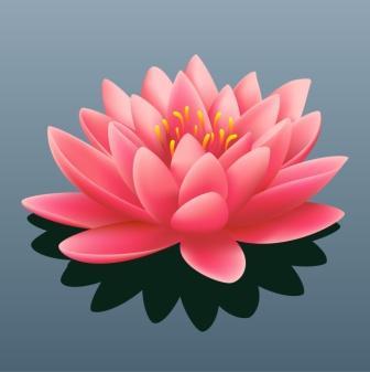 The Acupuncturist
