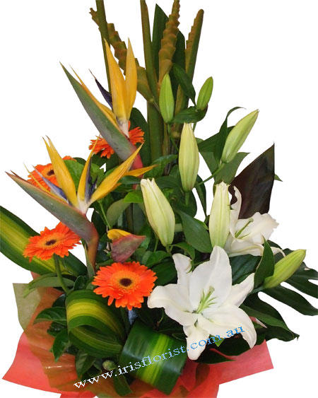 Iris Florist: Sydney