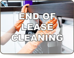 Right Carpet Cleaning