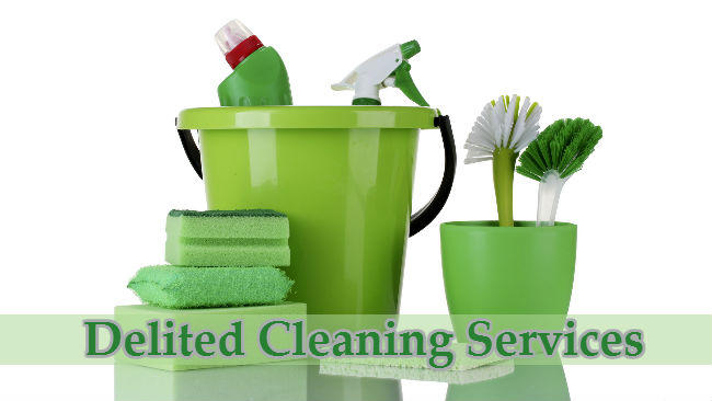 Delited Cleaning Services