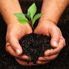 Natasha's Gardening Services