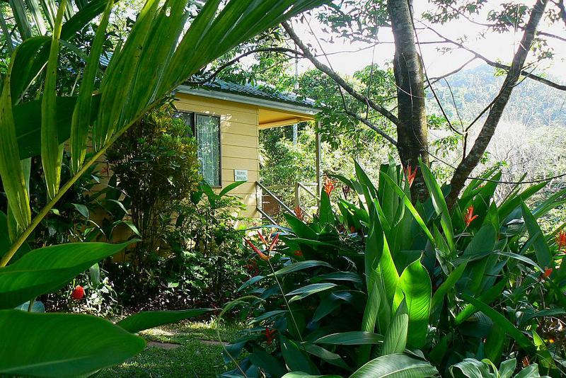 Daintree Valley Haven