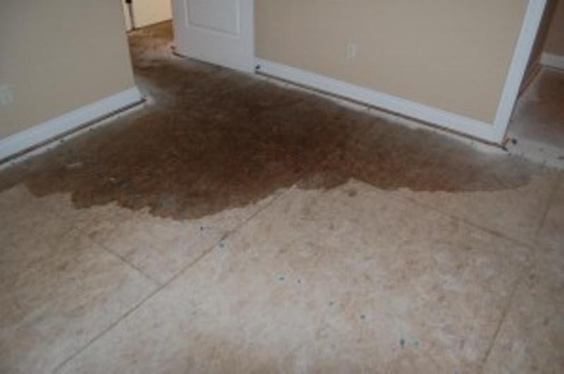 Water Damage Brisbane