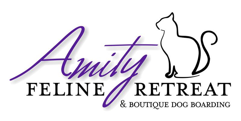 Amity Feline Retreat and Boutique Dog Boarding
