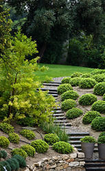 Andersons Professional Landscapes