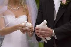 White Dove Celebrant Services