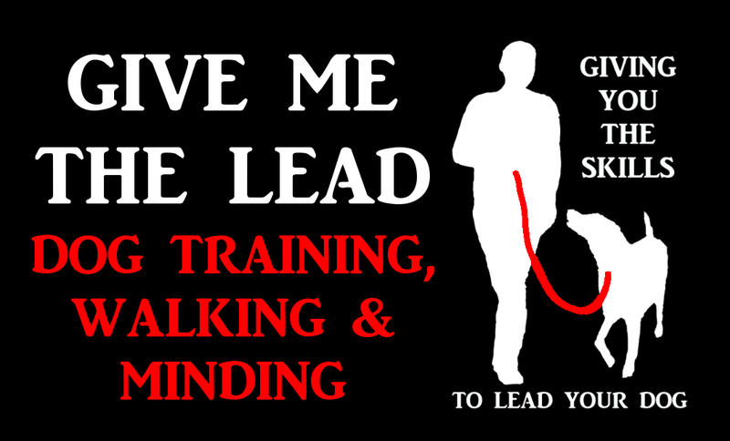 Give Me The Lead