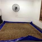 KP's Rug Cleaning