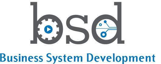 Business System Development