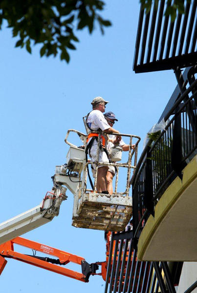 Attentive Painting and Decorating Pty Ltd: Paddington