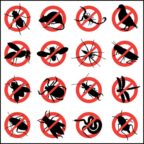Prevent a Pest