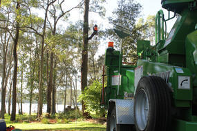 Cutting Edge Tree Maintenance