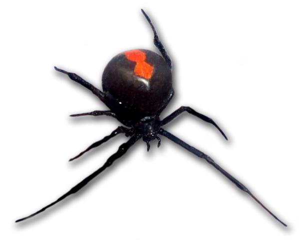 Bug-Ah Environmental Pest Solutions