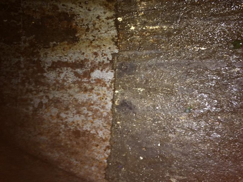 Bayside Quality Cleaning Pty Ltd 