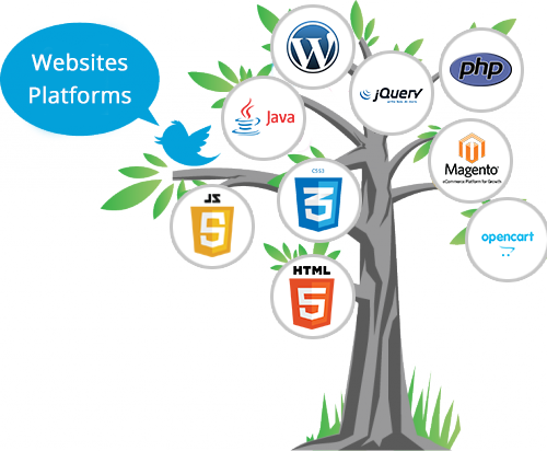 Need Websites