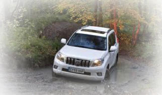 Werevr 4x4