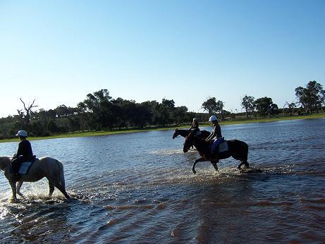 Beryl's Riding School