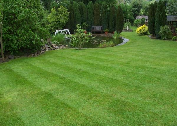 Scotts Gardening