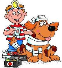 Highlands First Aid