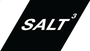 Salt3