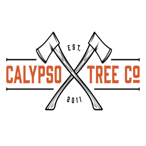 Calypso Tree Co