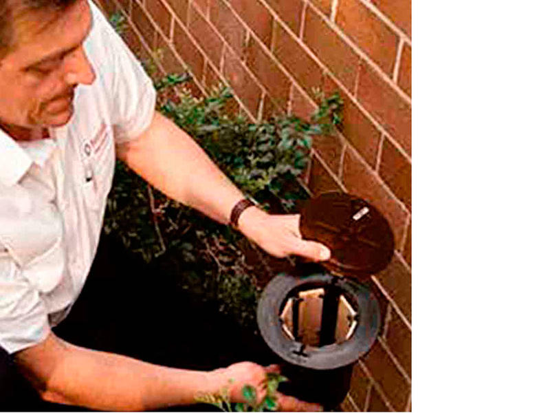 Adelaide Pest Control