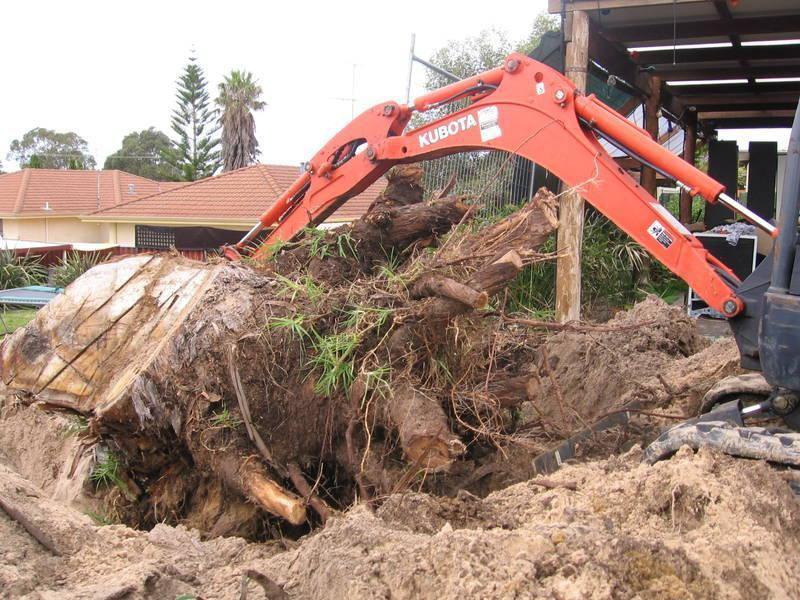 Heritage Tree Lopping & Excavations