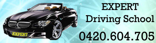 Expert Driving School