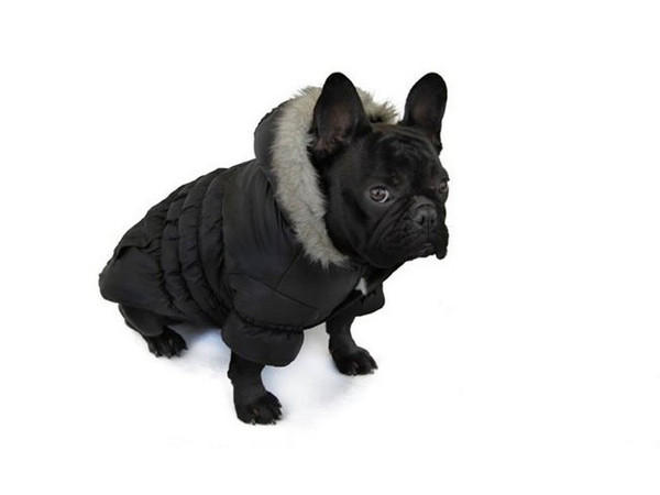 Doggy Beds: Melbourne