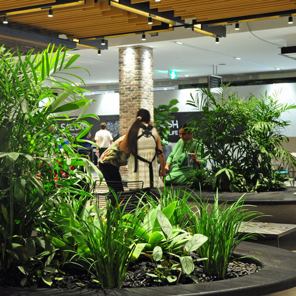 Advance Plant Services