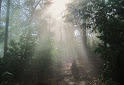 Aura Therapy