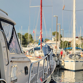 Reel Adventure Fishing Charters